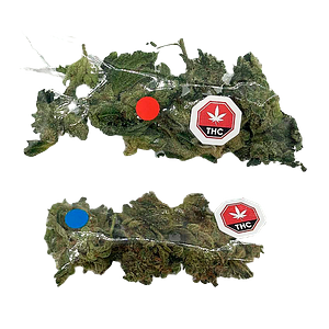 Western Cannabis - Multipack of Madness