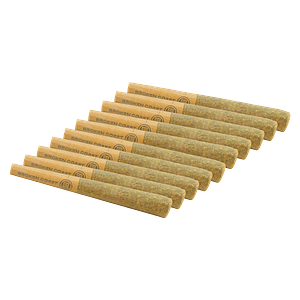 Broken Coast - Cherry Ztripez Pre Roll
