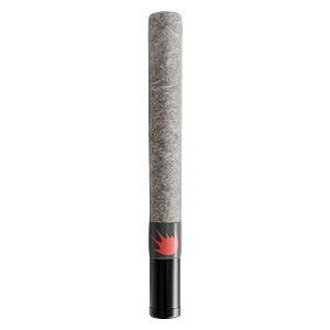 Slaps - Gas Hash Hole Infused Pre Roll