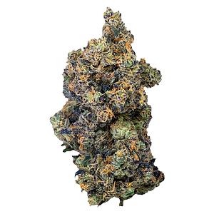 PURPLEFARM - Lime Rntz