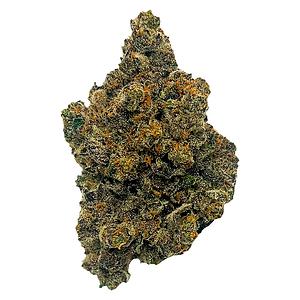 Clem & Co. - Mango Fuel