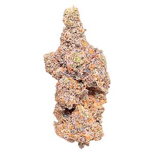 Barrie Dank - Barrie Exotic