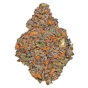 Potluck - Beaver Tail