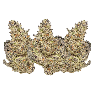 Eleven Eleven Legacy Craft - White Truffle