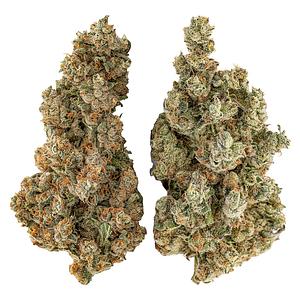 Highly Dutch - Organic Butter Cookies x Organic NYC Juggernaut