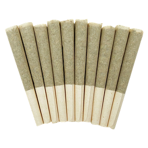 Skosha - Storm Pre Roll