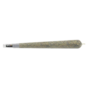 1Spliff Reserve - Javelin Premium Glass Tip Pre-Roll