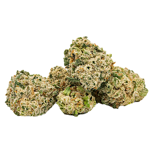 Highly Dutch - Organic Minis