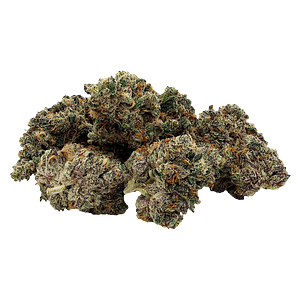 G.O.A.T - Night Shift