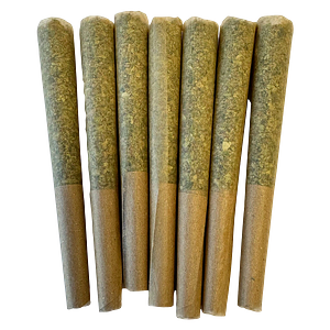 Noodz - Profile - Tropical Pre-roll