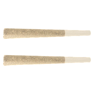 Stunnerz - Pineapple Blitz Pre-Roll