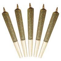 Buddy Blooms - Big Buddy Sativa Pre Roll