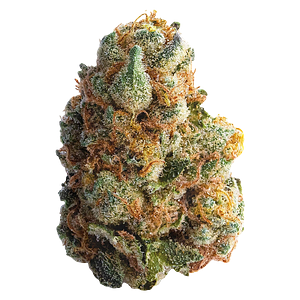 Spinach - Gmo Cookies