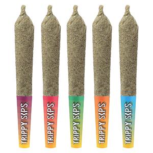 Trippy Sips - Juicy 5 Variety Pack Infused Pre Roll