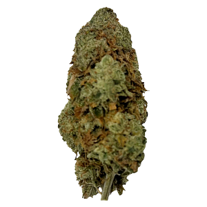 Puffer's Paradise - Magik Dragon