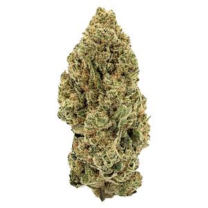 Payless - indica