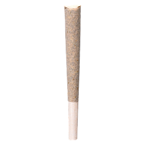 BLK MKT - Blk Mlk Pre Roll