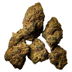 True Core - Desert Bloom