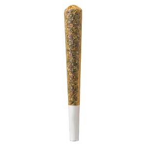 North of 28 - Cottage Country Pre-Roll