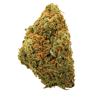 Potluck - Moose Tracks
