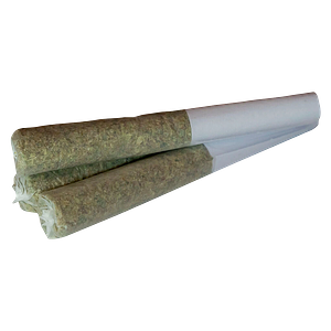 True Fire - Tropical Meltdown Pre-Roll