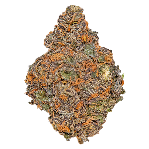 Potluck - Beaver Tail