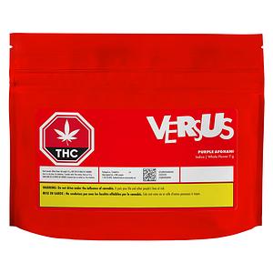 Versus - Purple Afghani image 2