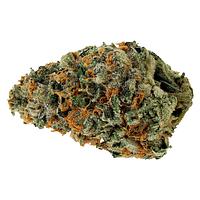 Starting Point! - Star Chase