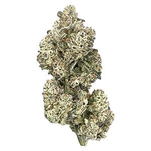 HighXotic - Royal Dive #5: Purple Zombie