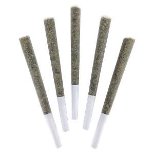 DEALR - Tokyo Sunset Pre-Roll