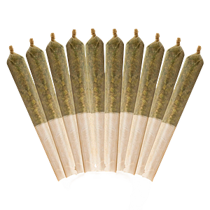 Buddy Blooms - Ethos Glue Pre-Roll