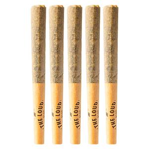 The Loud Plug - With Love From Scarbourough Pre Roll