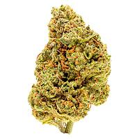 Palmetto - Goldberry