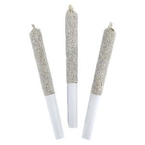 DEALR Infused - Raspberry Lime Paloma Infused Pre-Roll