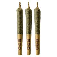 Coterie - Frosted Fruit Cake Pre-Roll