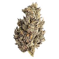 Seaweed - James' Celebration: Craft Small Batch Rotational