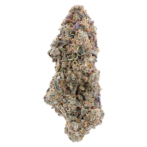 Northern Canna - True Mints