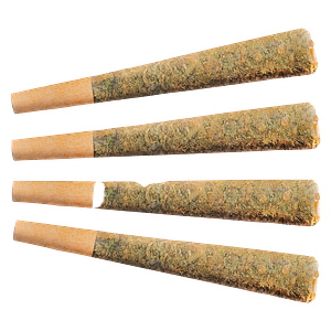 Fuego - Night Rider Pre Roll