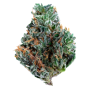 Tribal - Gelato Mint