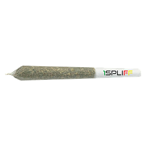1Spliff - Sativa Pre Roll
