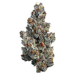 Woody Nelson - Organic Bling Blaow Craft Flower
