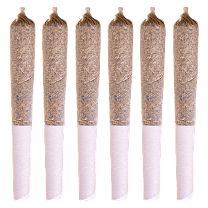 Station House - Coast to Coast Series Pre-Roll