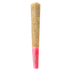 The Loud Plug - Drippyz Dragonfruit Rntz Infused Pre Roll