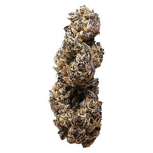 3rd Coast Genetics - Breeders Choice Max Cuts