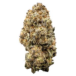 WAZA - Orange Slushie