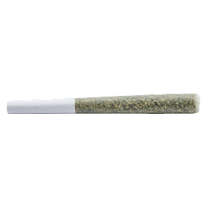 WAZA BLAST - Hybrid Pre Roll