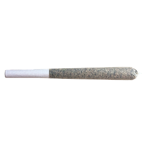 Be Humble. - Glazed Apricot Gelato Pre-Roll