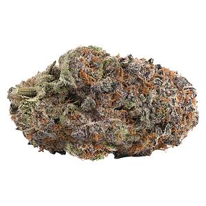 WINK - Purple Push Pop