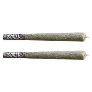 SHRED - Rocky Mountain Haze Bats Pre Roll