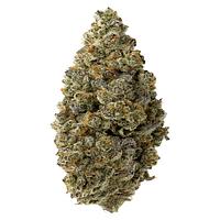 FOUR54 - Hawaiian Marker